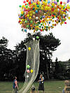 Alsager Carnival balloon race